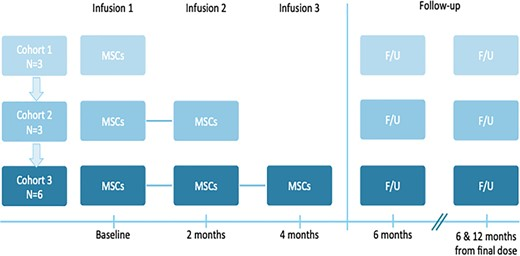 本研究是一項I期開放標簽劑量遞增試驗，研究對象為患有ASD的幼兒，靜脈輸注一次、兩次或三次hCT-MSC