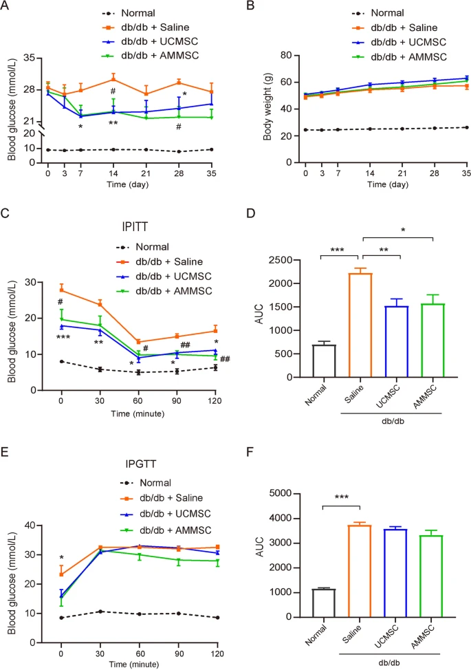 圖1：小鼠在AMMSC或UCMSC給藥后的代謝表型。