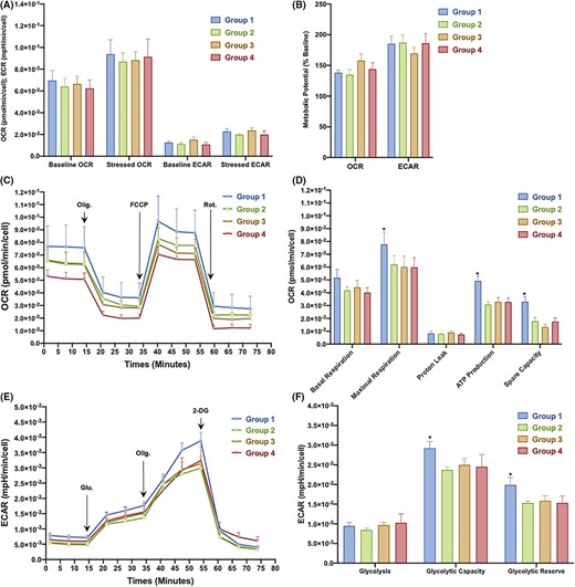 圖3：從對照組和2型糖尿病 (T2DM) 患者中分離的骨髓間充質干細胞 (BM-MSC) 的代謝概況。