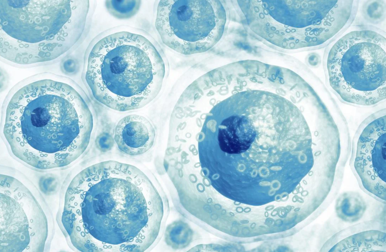 又增加一項！2024年中國已有13部干細胞治療相關專家共識！