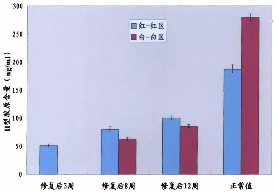 不同時間點修復組織紅-紅區與白-白區II型膠原表達量

