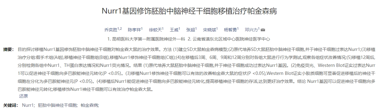 Nurr1基因修飾胚胎中腦神經干細胞移植治療帕金森病