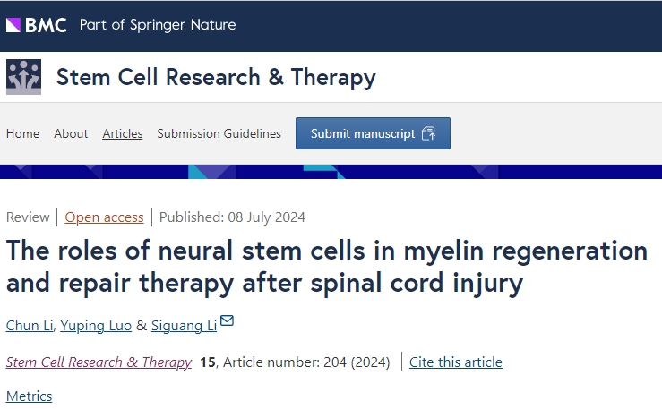 神經干細胞移植在修復脊髓損傷后髓鞘再生和治療中的作用
