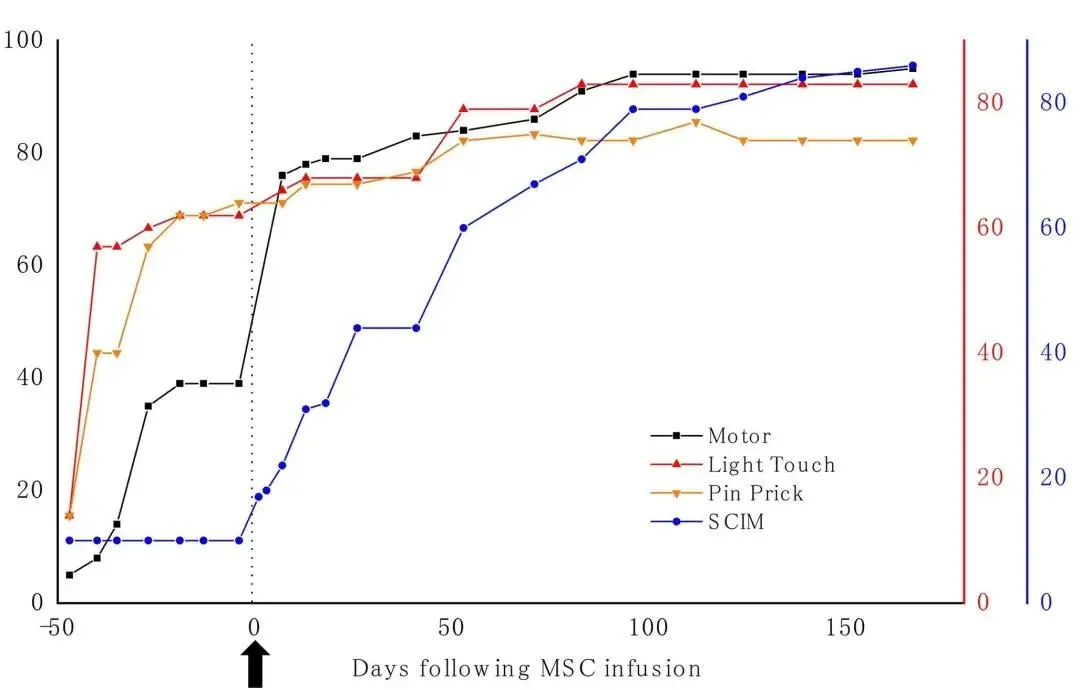 干細胞治療脊髓損傷的治療效果如何？