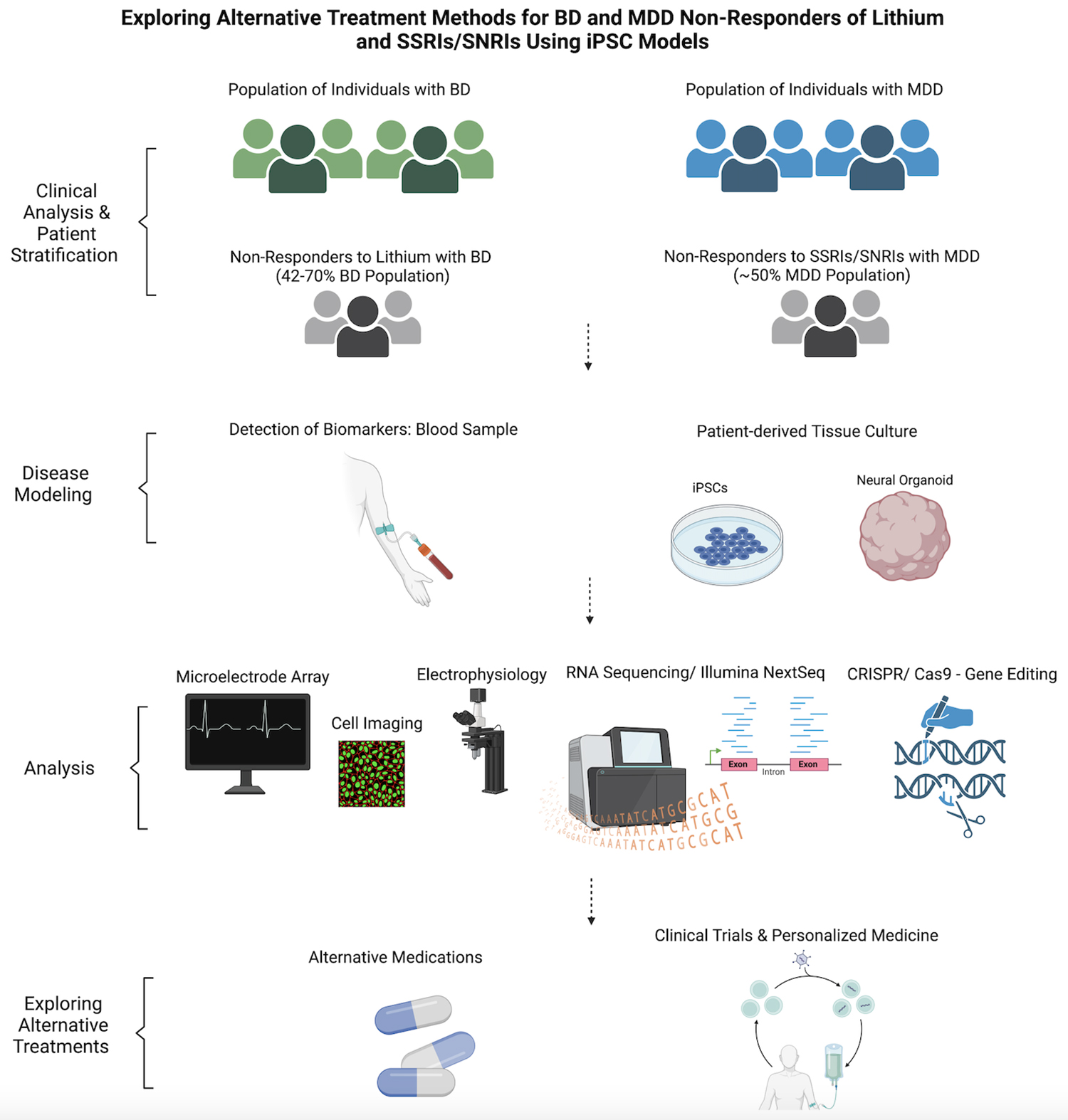 芹菜素更有效地減弱了BD患者iPSC衍生星形膠質細胞的炎癥反應。