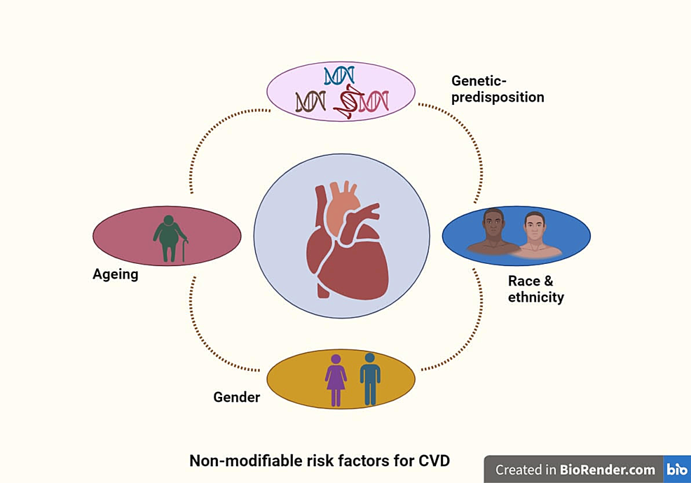 圖1：心血管疾病的不可改變的風險因素。