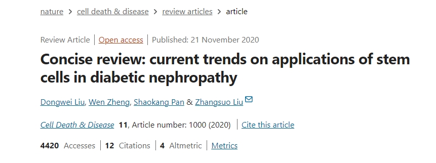 簡述：干細胞在糖尿病腎病中的應(yīng)用現(xiàn)狀