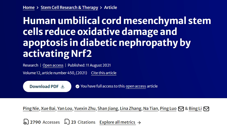 人臍帶間充質(zhì)干細胞通過激活Nrf2減少糖尿病腎病中的氧化損傷和細胞凋亡