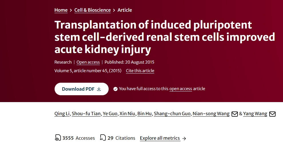 誘導性多能干細胞來源的腎干細胞移植改善急性腎損傷