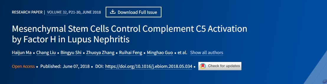 間充質干細胞通過狼瘡性腎炎中的因子H控制補體C5的激活