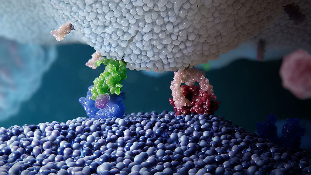 他的團(tuán)隊(duì)發(fā)現(xiàn)了一種名為A20的關(guān)鍵蛋白