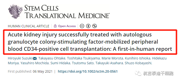 自體粒細(xì)胞集落刺激因子動員外周血 CD34 陽性細(xì)胞移植成功治療急性腎損傷：首次人體報告