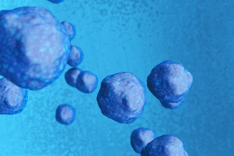 杜克大學-新加坡國立大學和MBI的科學家發(fā)現(xiàn)了一種激活休眠神經(jīng)干細胞的途徑，通過針對星形膠質(zhì)細胞和神經(jīng)干細胞之間的相互作用，有可能為神經(jīng)發(fā)育障礙帶來新的治療方法。