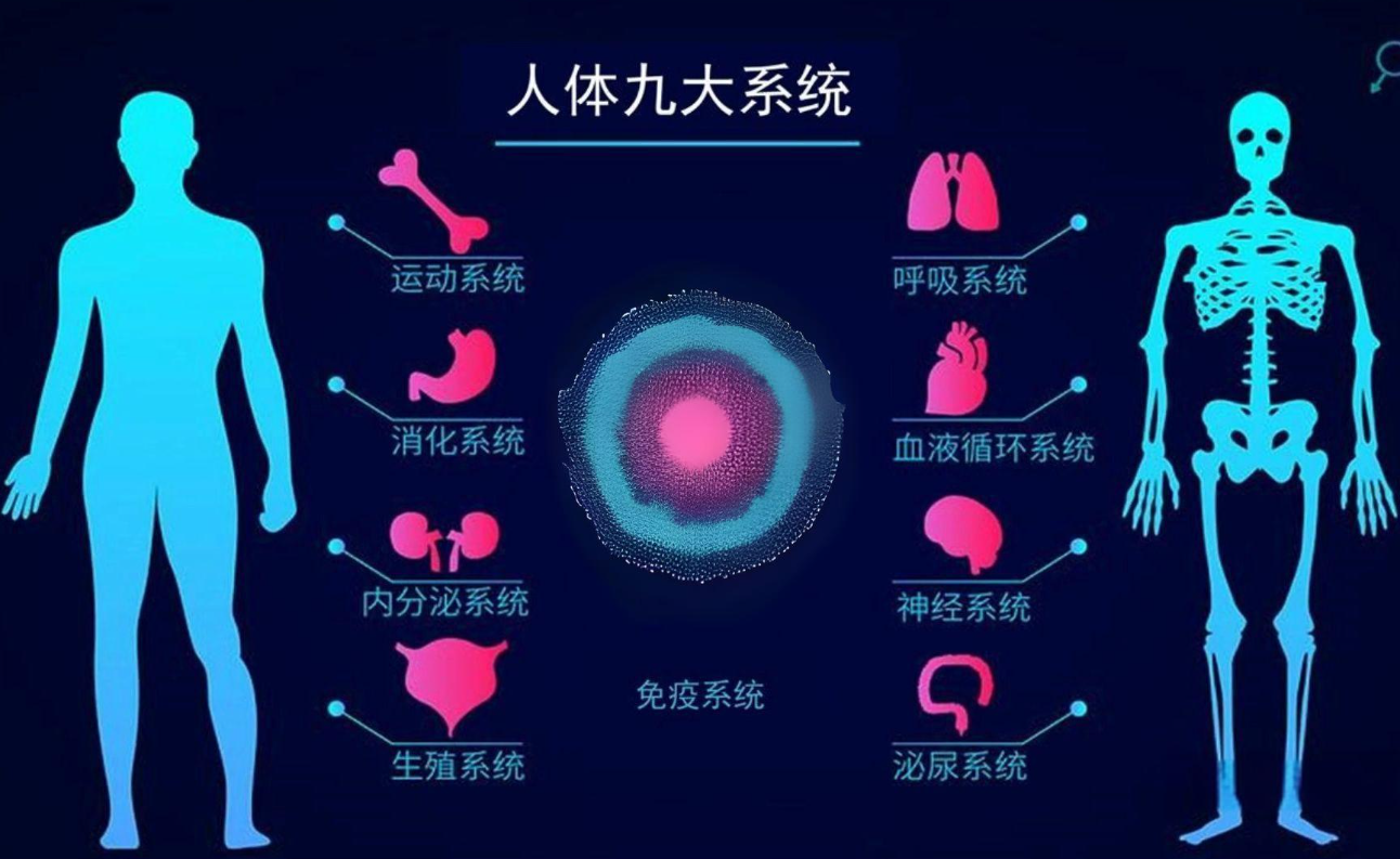 2024干細(xì)胞療法前沿：九大系統(tǒng)7200+臨床試驗(yàn)，攻克200+疾病在即