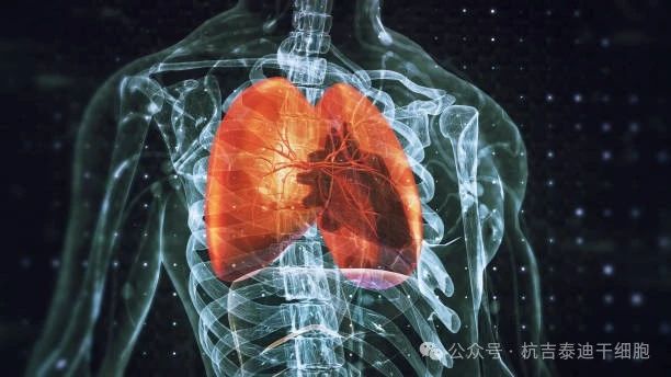 干細胞療法與呼吸系統