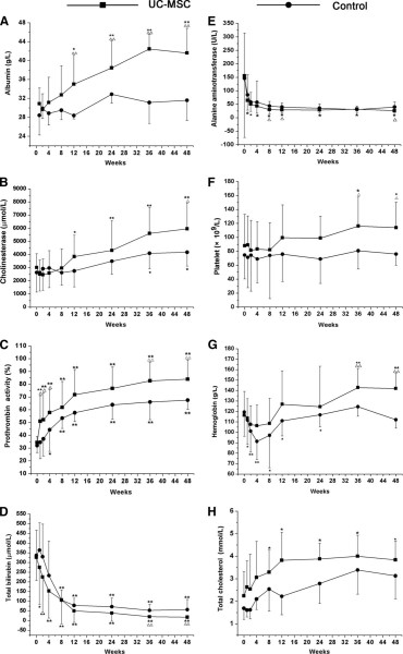 UC-MSC 輸血對肝功能的影響。
