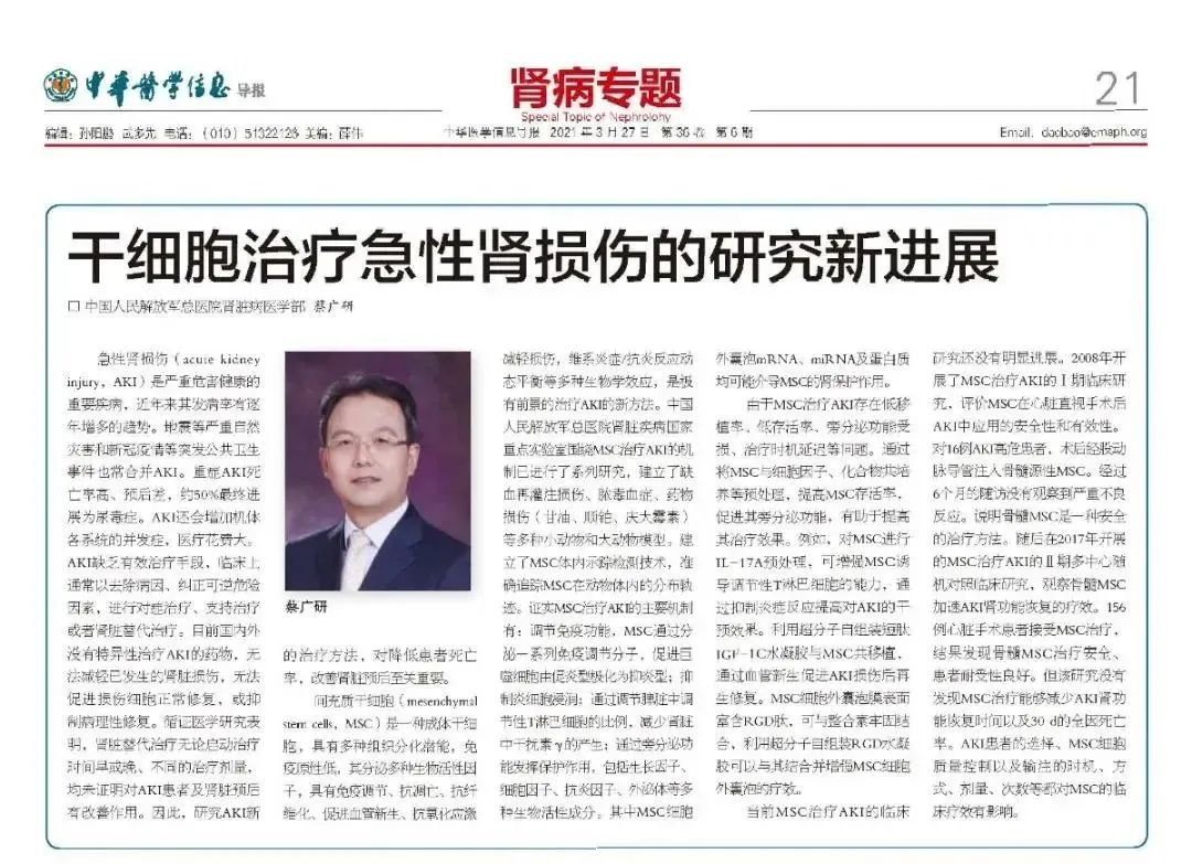 干細(xì)胞治療急性腎損傷的研究新進展