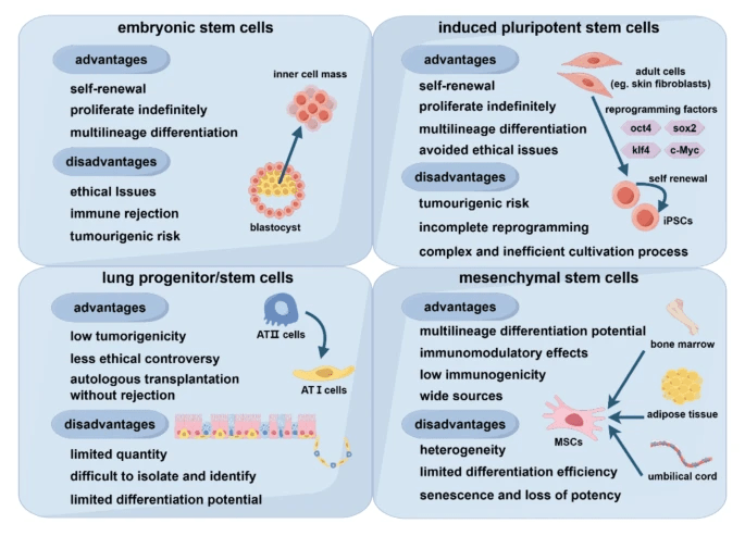 圖2：不同類型干細胞的優點和缺點。