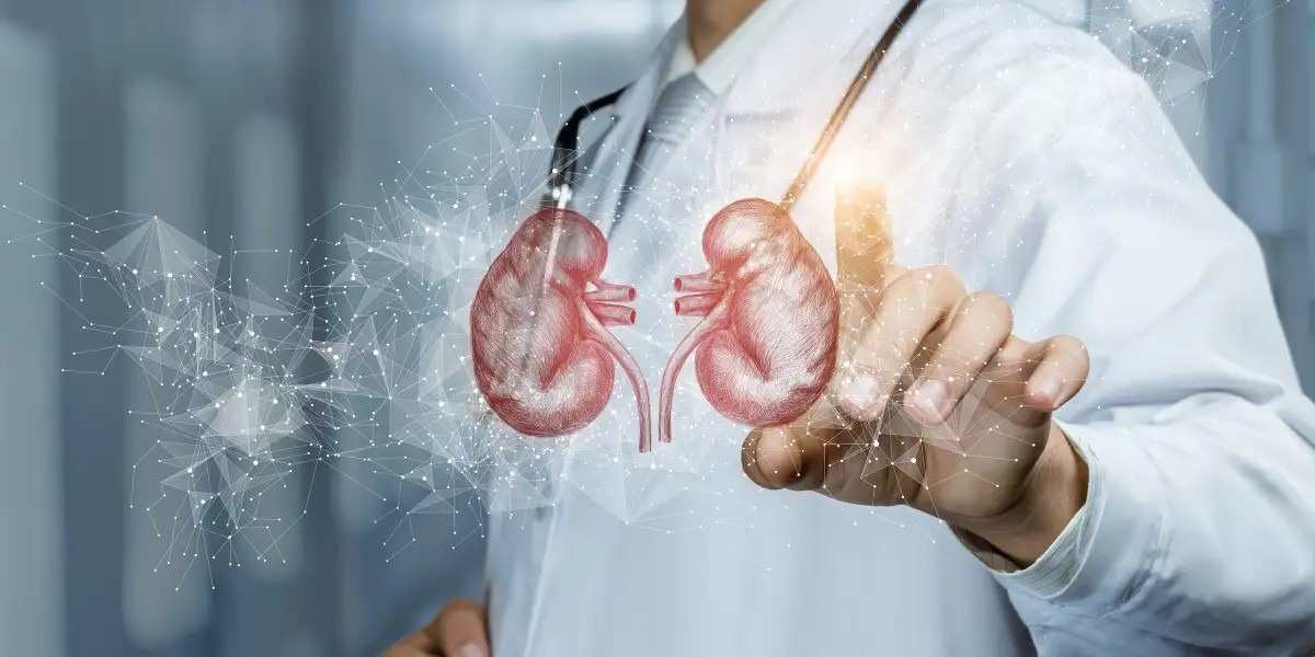 慢性腎病如何治療?干細胞治療為慢性腎病患者指明了一條新道路 慢性腎病如何治療?干細胞治療為慢性腎病患者指明了一條新道路