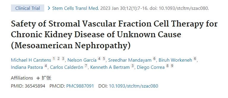 基質血管成分細胞療法治療原因不明的慢性腎?。ㄖ忻乐弈I?。┑陌踩? class=
