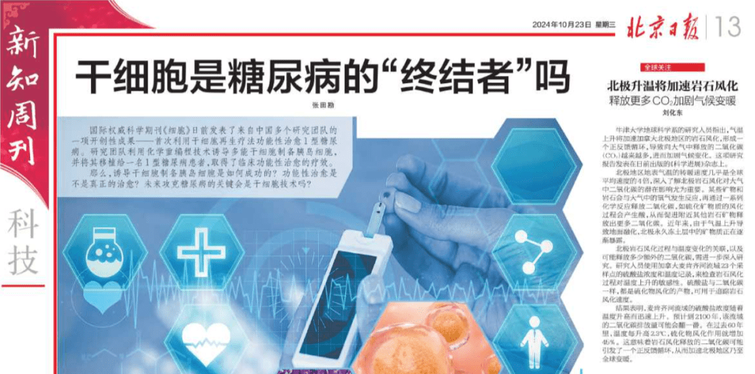 北京日報：干細胞技術：糖尿病的“終結者”，新希望降臨！