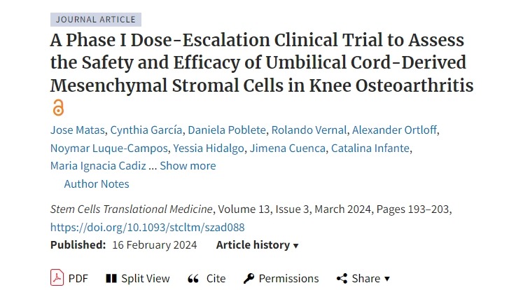 一項I期劑量遞增臨床試驗，評估臍帶間充質基質細胞在膝關節骨關節炎中的安全性和有效性