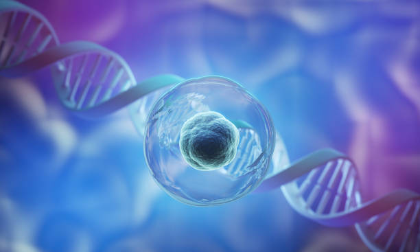 關(guān)于干細(xì)胞療法的5個(gè)誤解:科學(xué)是怎么說(shuō)的 關(guān)于干細(xì)胞療法的5個(gè)誤解:科學(xué)是怎么說(shuō)的