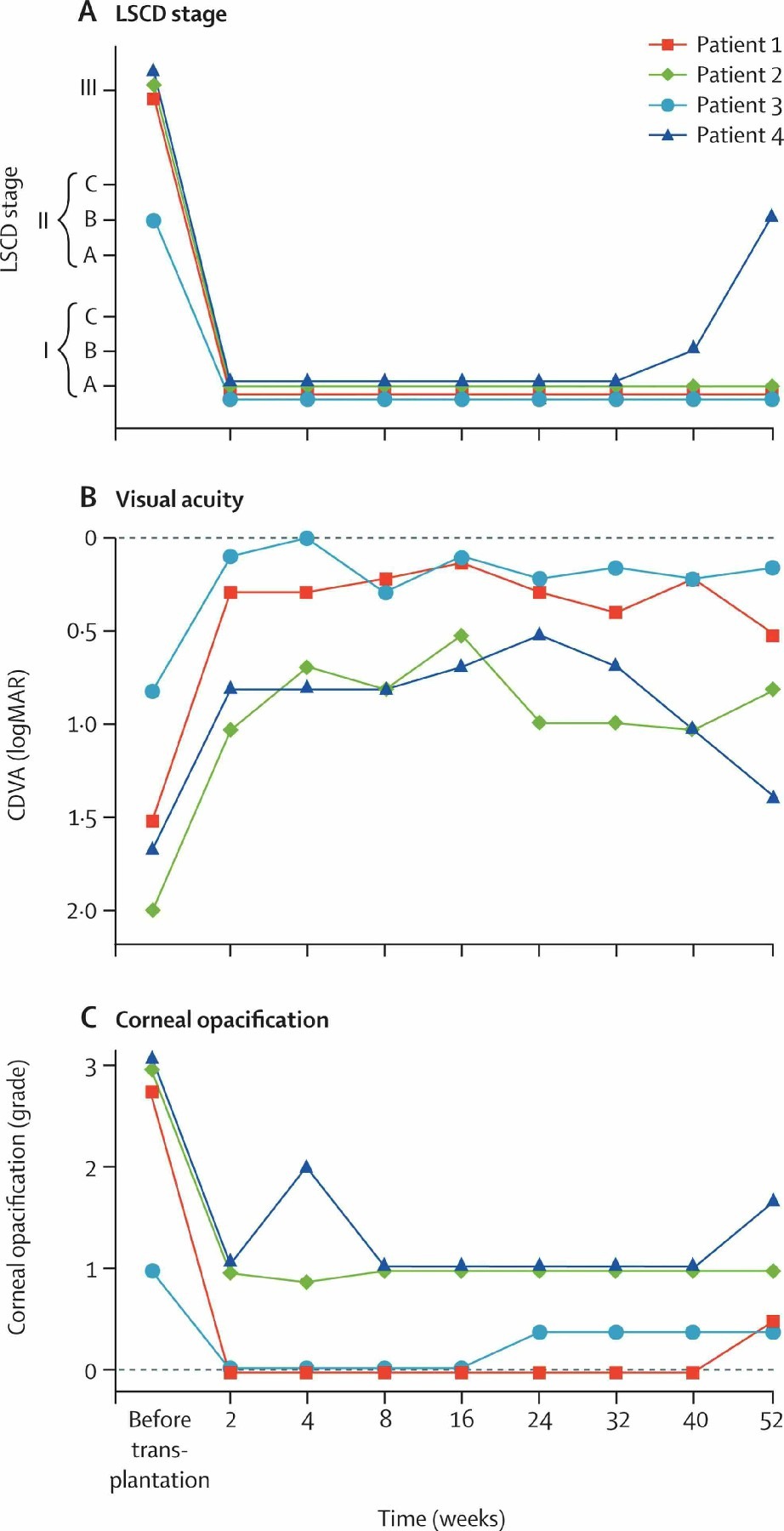 圖2：LSCD 分期、視力和角膜混濁