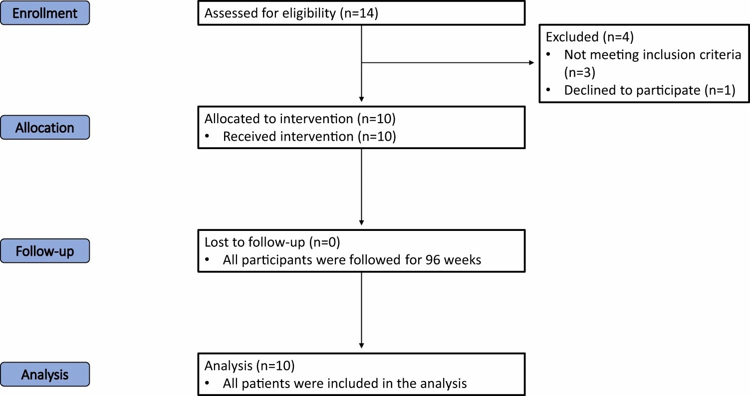 圖一：試驗各階段（招募、分配、跟進和分析）進展的流程圖