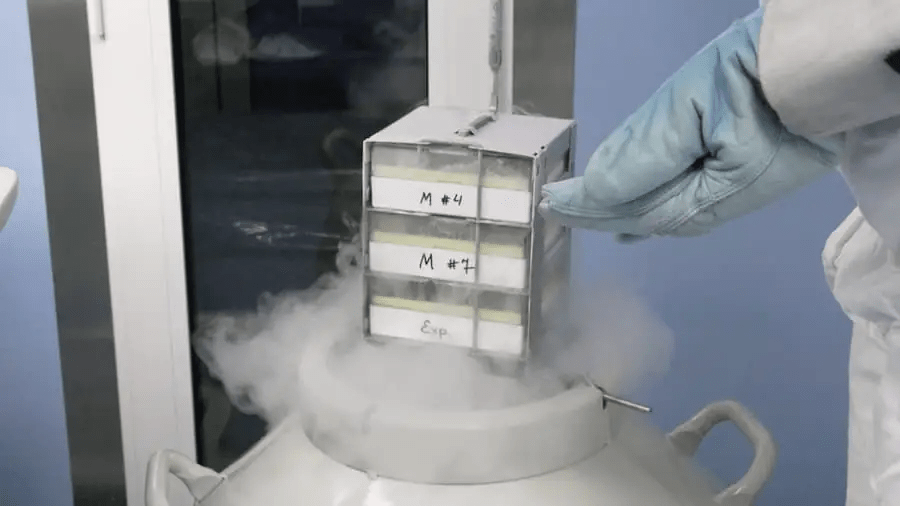 從實驗室到臨床：干細胞機構是如何生產高質量干細胞的？