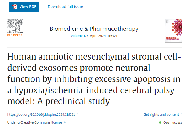 人羊膜間充質干細胞來源的外泌體通過抑制缺氧/缺血誘導的腦癱模型中的過度細胞凋亡來促進神經元功能：一項臨床前研究