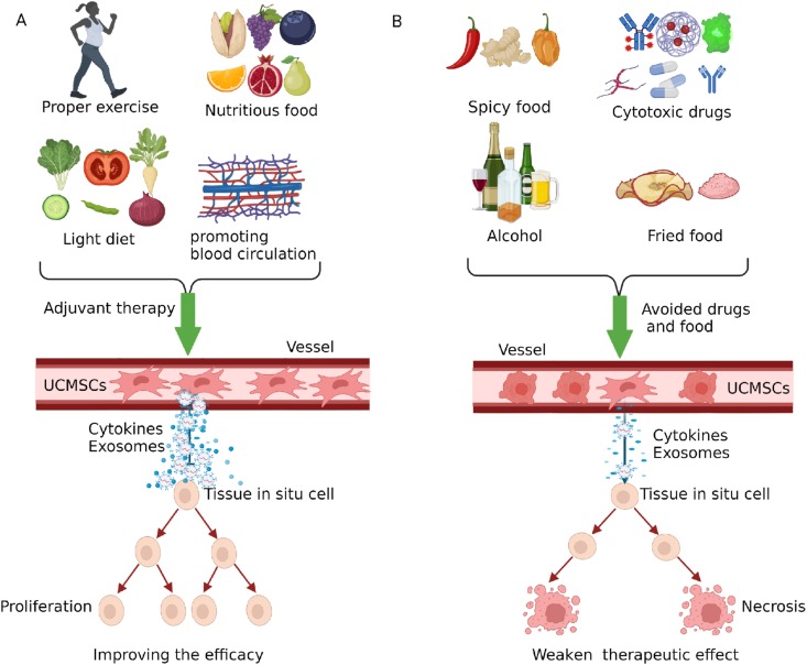 圖3：臍帶間充質(zhì)干細(xì)胞治療期間應(yīng)避免輔助療法、藥物及食物。