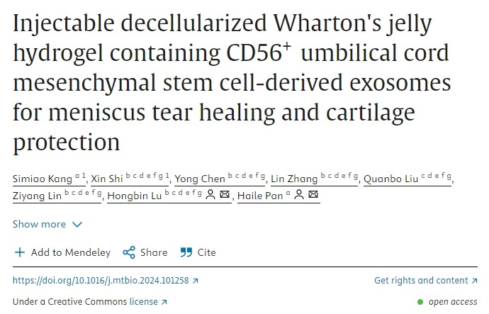 含有CD56+臍帶間充質干細胞衍生外泌體的可注射脫細胞華通氏膠水凝膠用于半月板撕裂愈合和軟骨保護