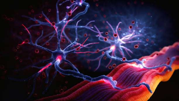 面對眾說紛紜的干細胞治療帕金森病，我們的期望是什么？