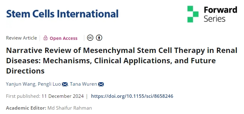 最新綜述：干細(xì)胞治療腎臟疾病的機(jī)制、臨床應(yīng)用和未來方向