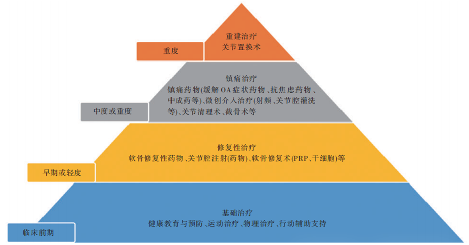 中國骨關(guān)節(jié)炎診療指南（2024 版）