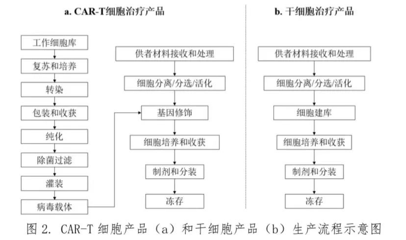 圖2.CAR-T細胞產品(a)和干細胞產品(b)生產流程示意圖
