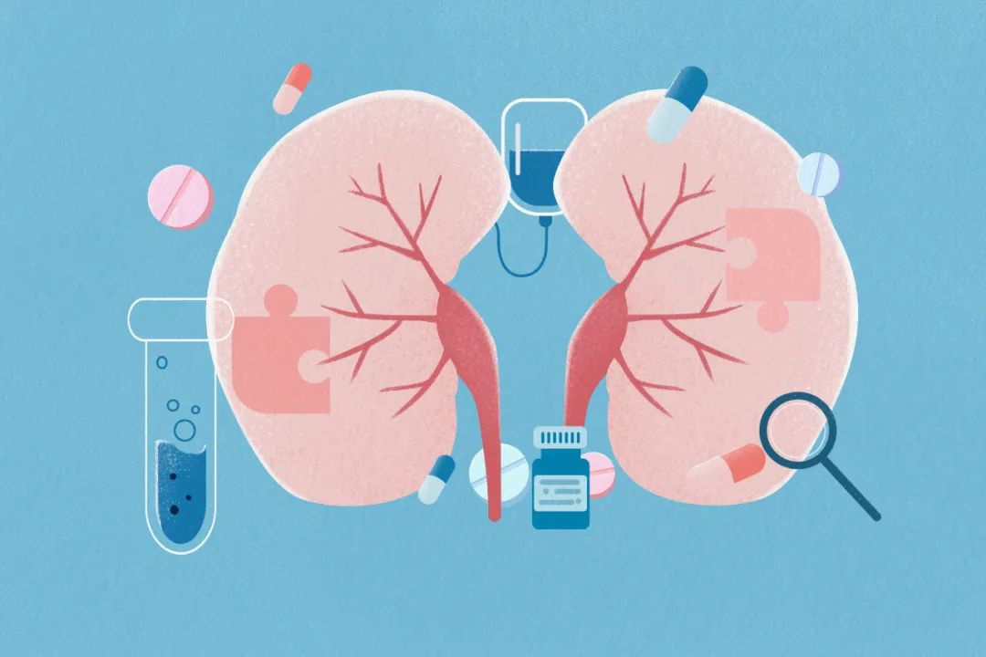 直擊腎科難題!解密干細胞如何重塑腎病患者腎小球濾過率 直擊腎科難題!解密干細胞如何重塑腎病患者腎小球濾過率