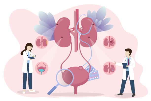 探索干細胞療法：真的能減少腎病患者的透析頻率嗎？