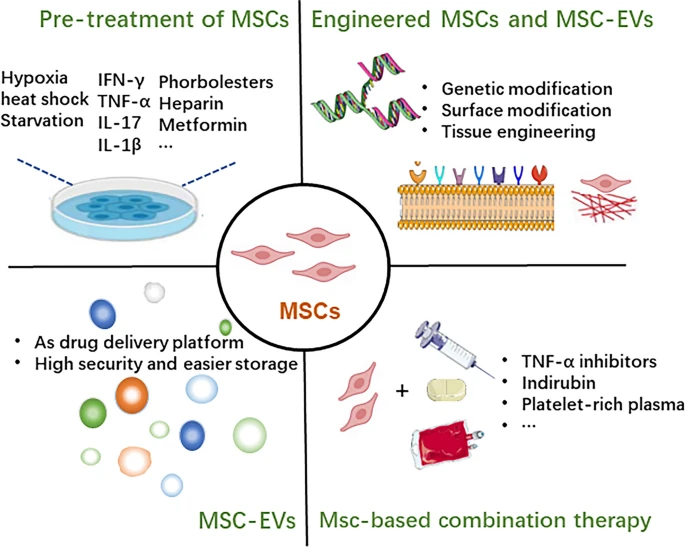 圖3：增強間充質(zhì)干細胞治療效果的方法。