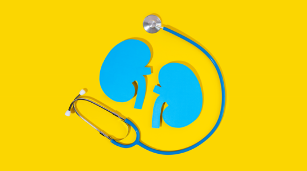 干細胞治療腎病：基因、年齡與疾病類型如何共同決定療效？