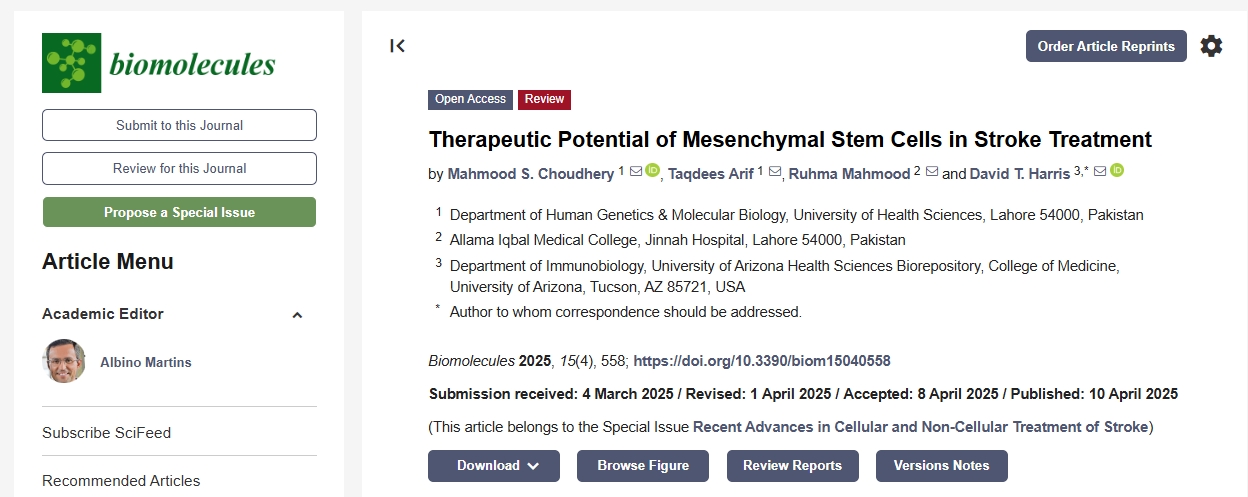 間充質(zhì)干細胞在中風治療中的治療潛力