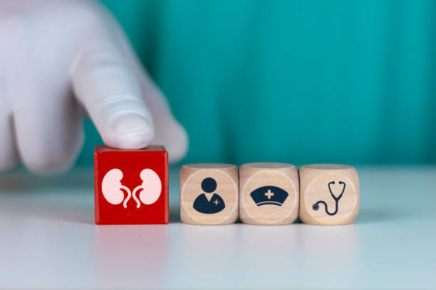 干細(xì)胞治療腎病的短期安全性:機制與臨床證據(jù) 干細(xì)胞治療腎病的短期安全性:機制與臨床證據(jù)