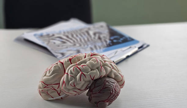 日本：iPS細(xì)胞衍生的多巴胺能細(xì)胞治療帕金森病的I/II期臨床試驗