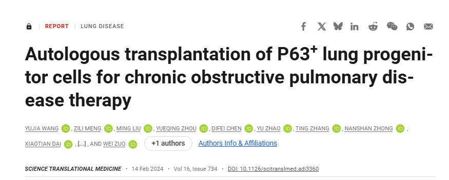 P63?+肺祖細胞自體移植治療慢性阻塞性肺病