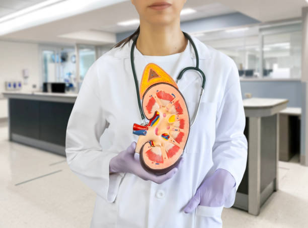 哪些腎病患者適合嘗試干細胞治療？覆蓋急性、慢性及免疫相關腎病