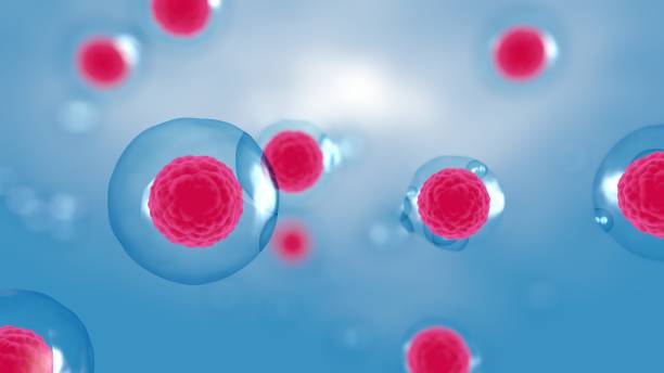 間充質(zhì)干細胞雙機制協(xié)同：免疫調(diào)節(jié)＋旁分泌活性解鎖自身免疫疾病治療新維度