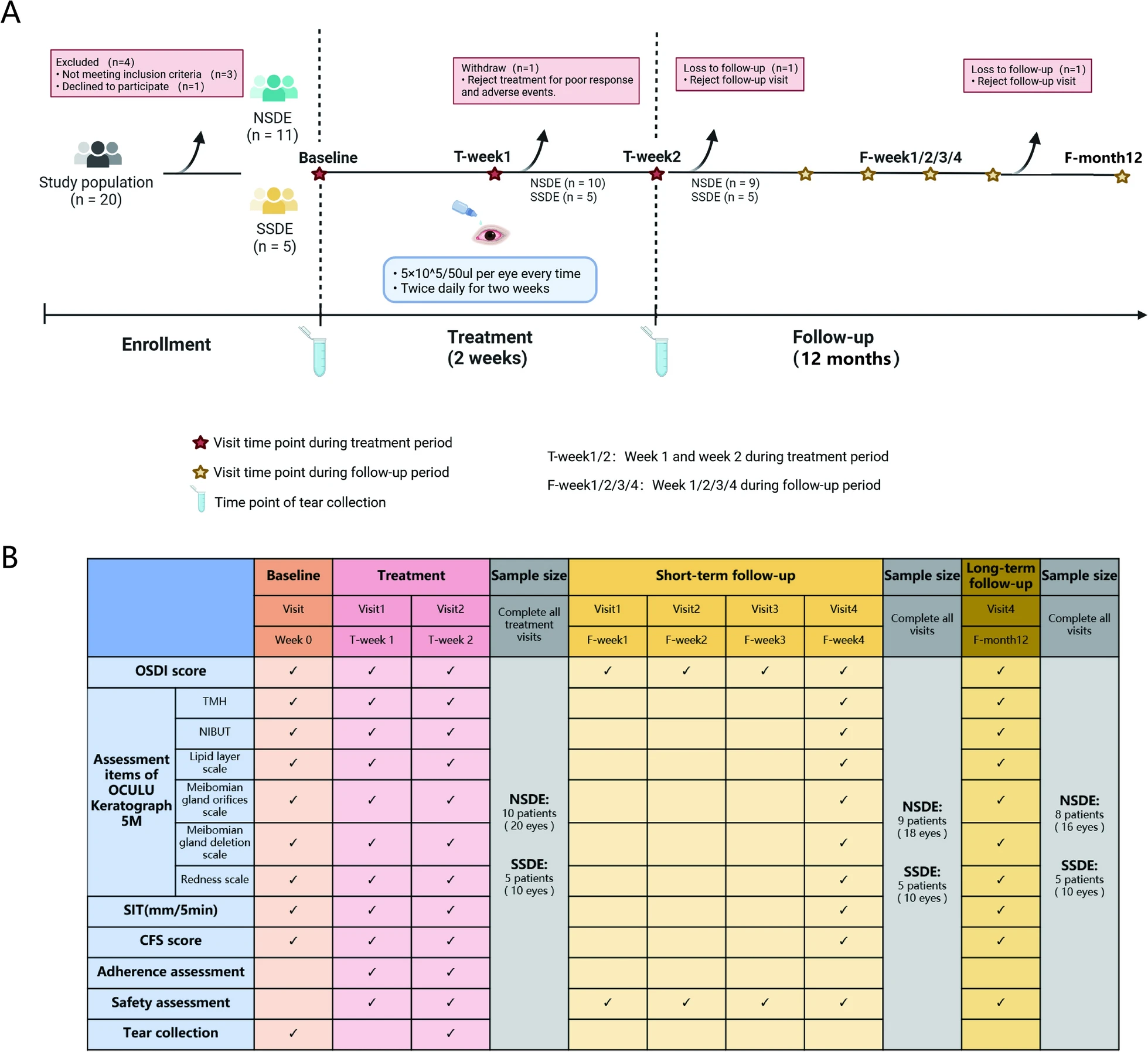 圖1：臨床試驗設計。