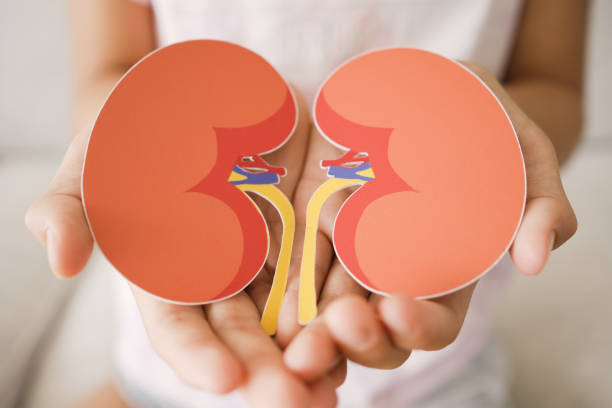 間充質干細胞治療腎臟疾?。赫娴陌踩珕?？