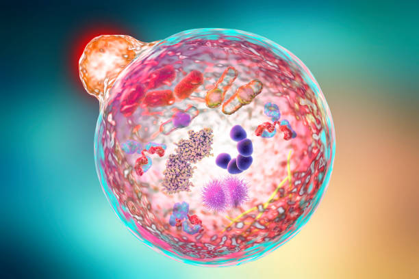 治愈疾病的建筑師（細胞）：細胞療法的醫學發展史?